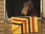 Hainsworth equestrian blanket